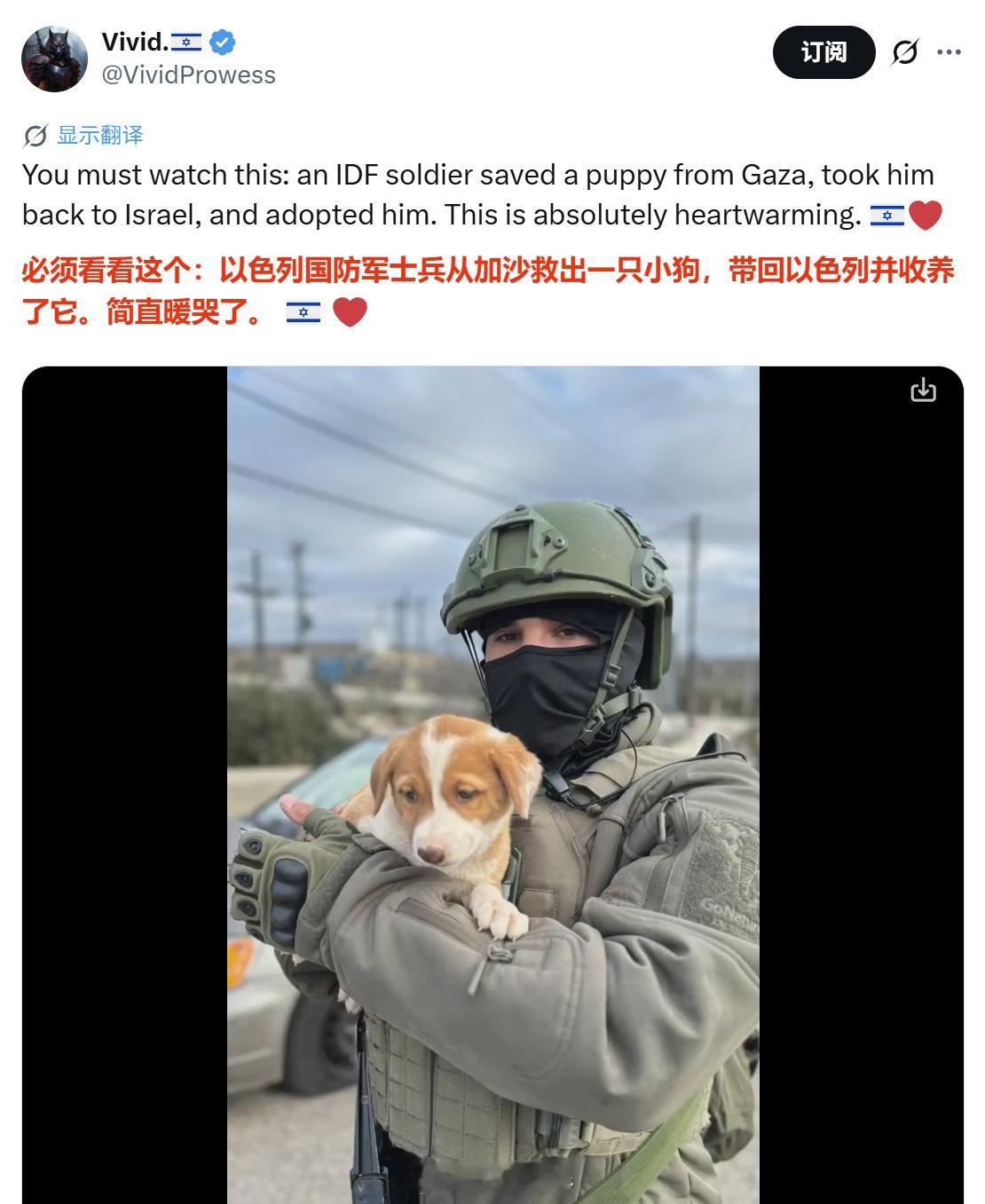 加沙那边这几天杀得血流成河，以色列帐号却在网上庆祝以军在加沙救了一只小狗，评论区