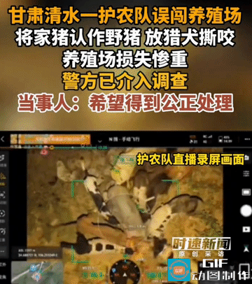 “是公益还是故意？”甘肃清水，男子在养殖场屋里休息，突然，听到狗叫声，猪的惨叫声
