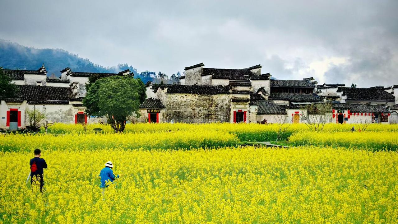 往后余生，别再执着于有没有观众，有没有人认可。把日子过给自己看，活得自在、活得开