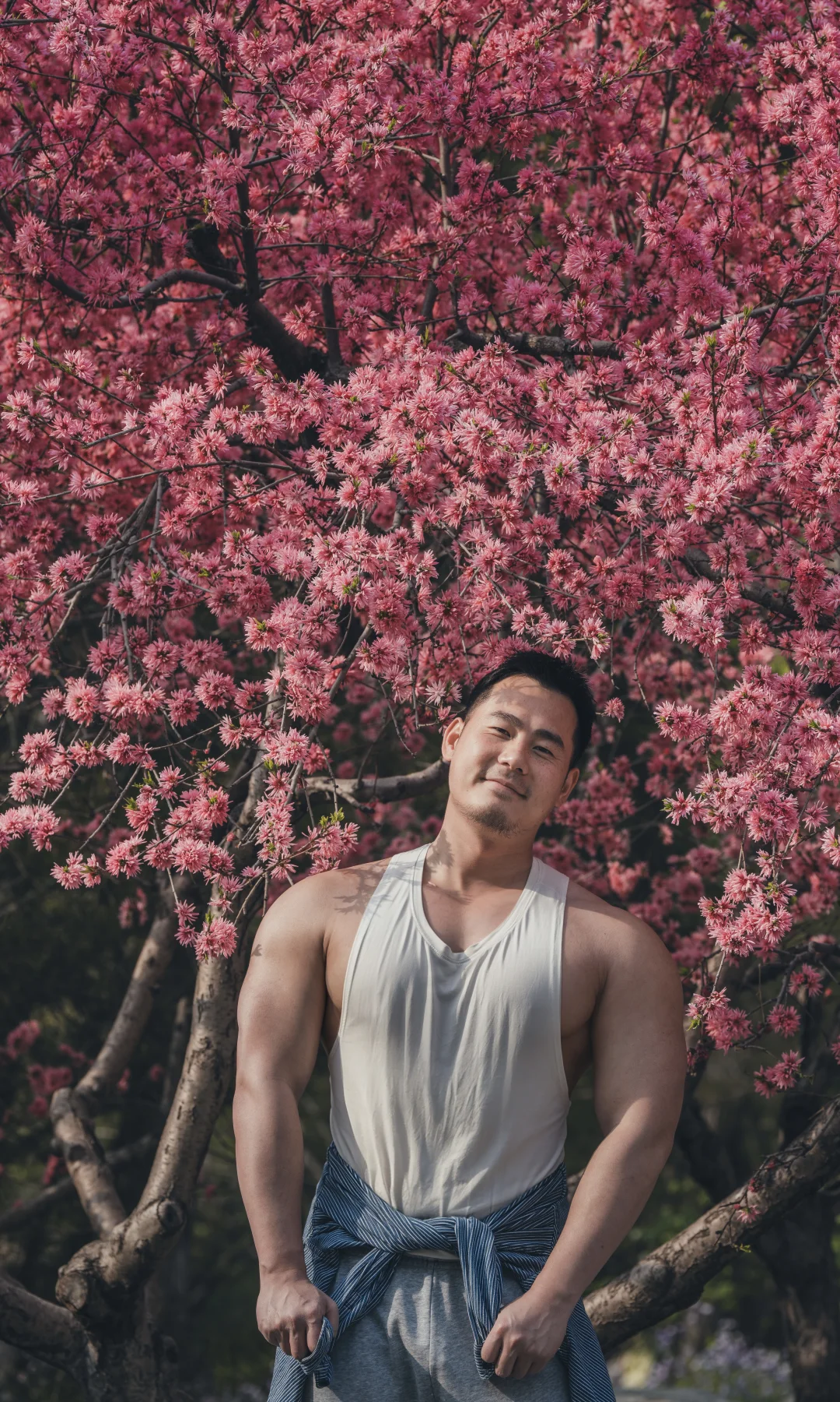 花和阳光，今天是松弛版