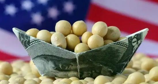 美国大豆为什么非要卖给中国？其实，站在美国的角度，三年不卖给中国大豆，表面上只是
