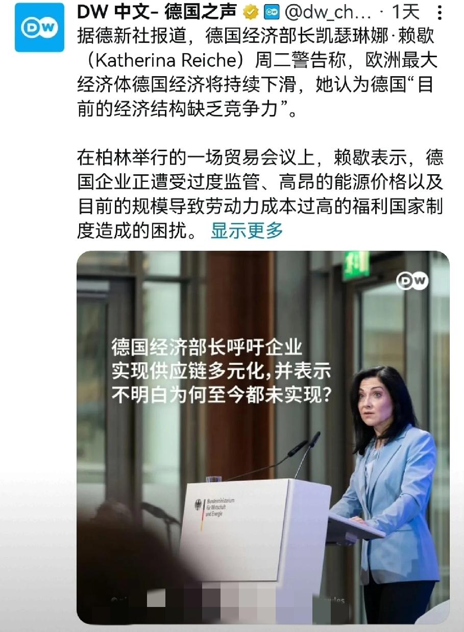 德国经济部长这波“甩锅”，真把人看笑了！对着台下企业家激昂质问“为啥非要依