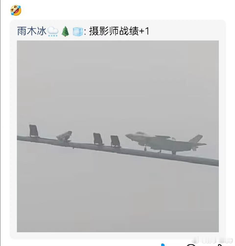 问杆子上有几只飞机