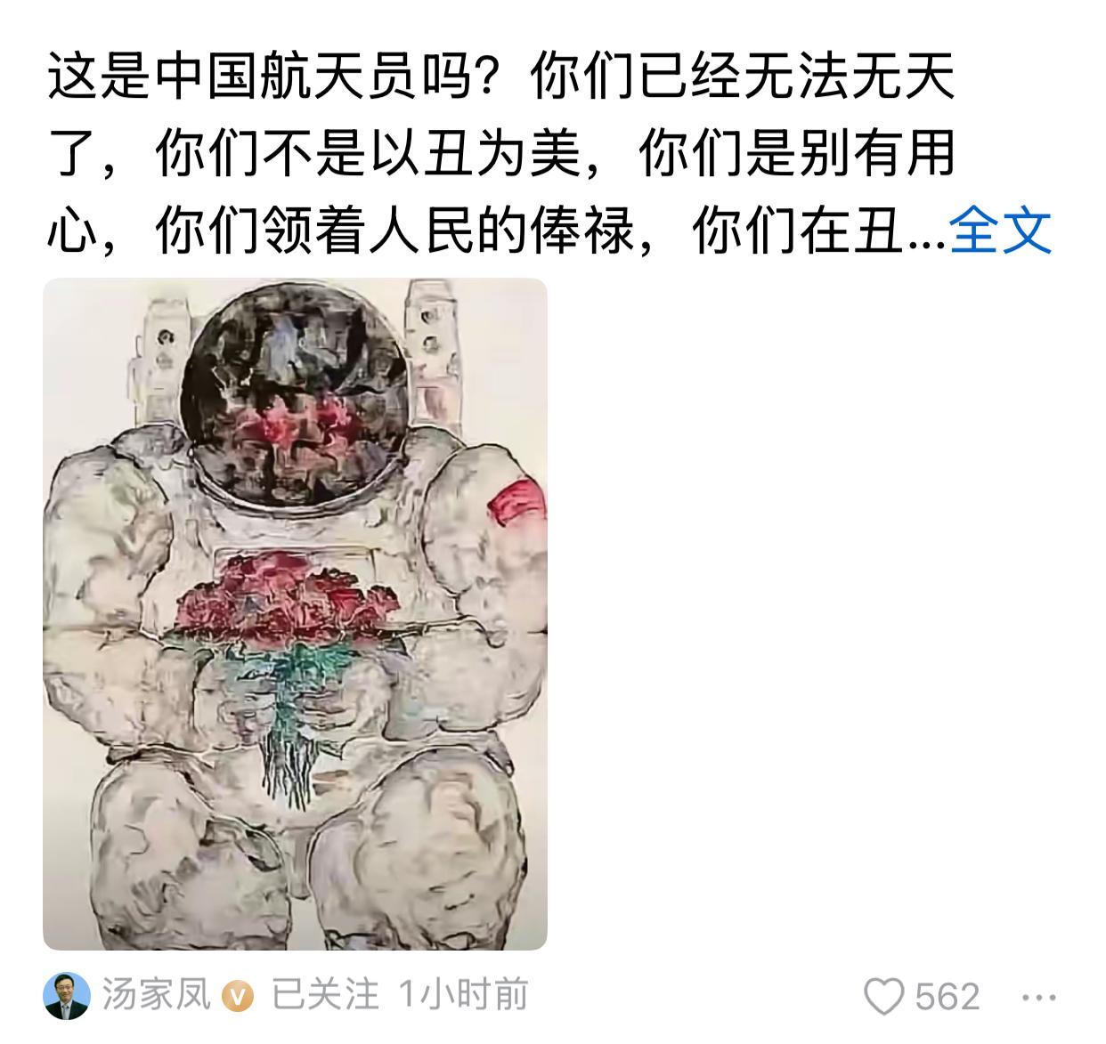 汤家凤评论中国航天员绘画，称他们这些画家已经无法无天了，以丑为美，领着人民的工资