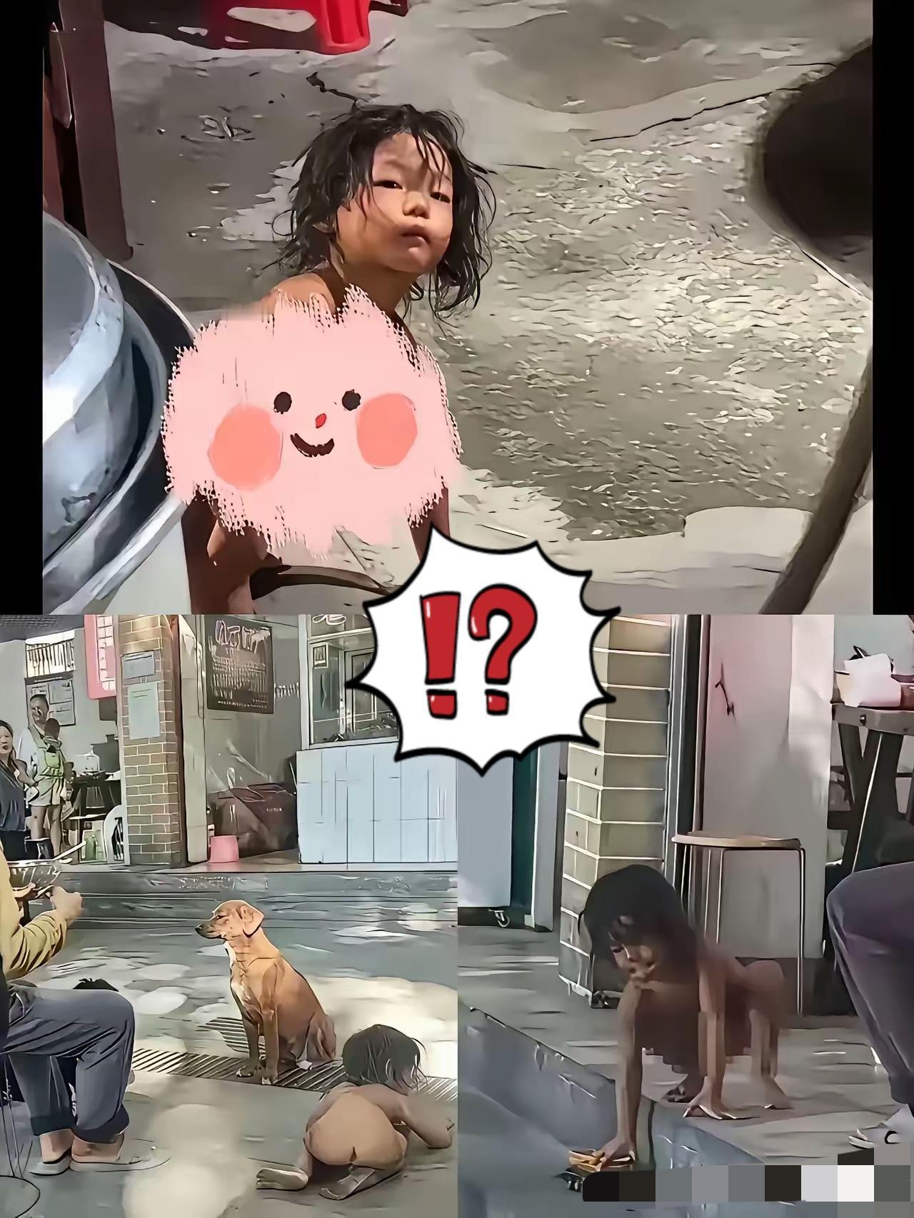 乐乐这事儿锤了才知道，目前养着他的父母真的不是亲生父母，就说怎么会有父母这样