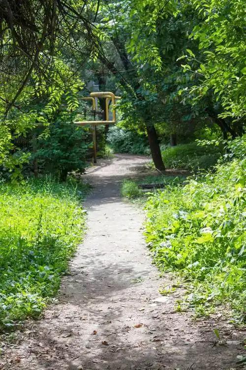 不知道你发现没有，生活里有个挺怪的现象。单位里那个最好说话的人，谁找他帮忙都