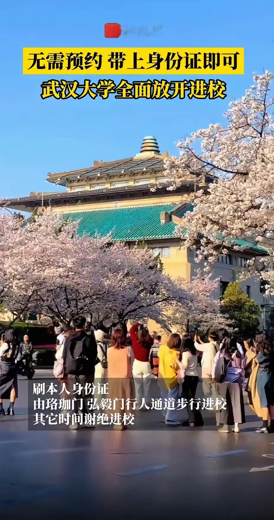“无需预约，带上身份证即可”没有比这更令人五味杂陈、压抑而又难以诉说的笑话了。