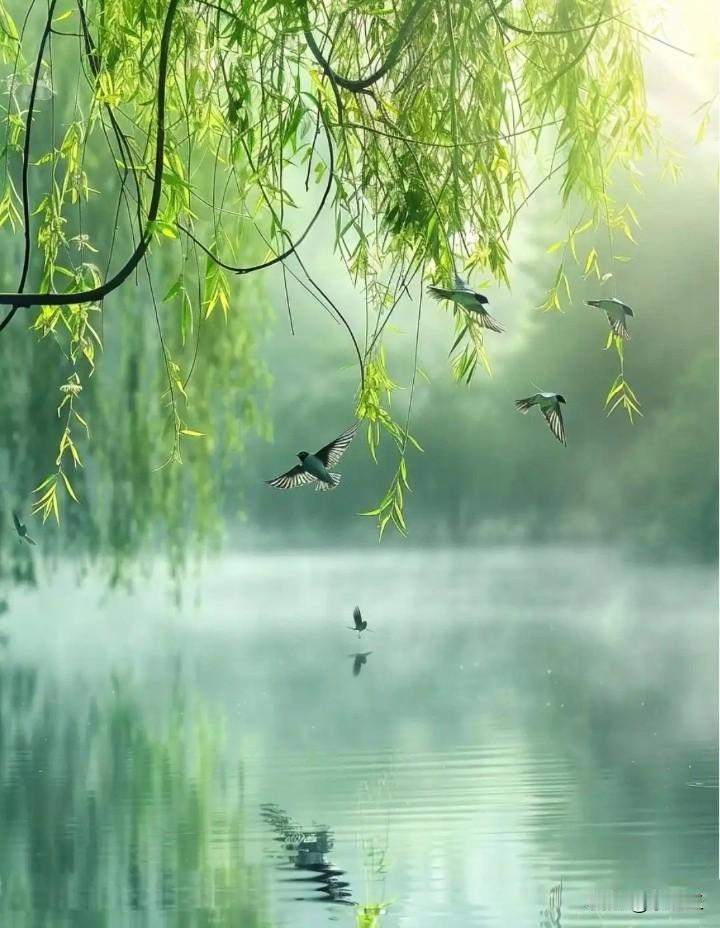 我大姐的同学，下午开车回家了。我以为能和大姐睡在朝阳的房间，结果，我大姐另一个同