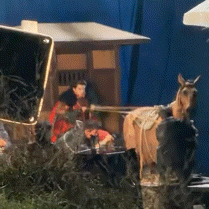 逐玉男模团张凌赫骑马动图被网友说是玩跷跷板