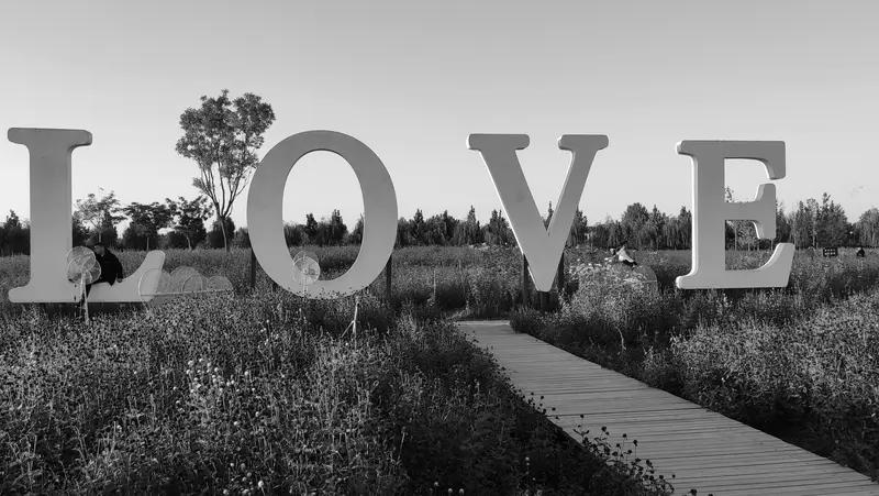 心甘情愿，就是爱的答案爱的真正的意义爱的真实面目爱的真实目的深爱是默默守候