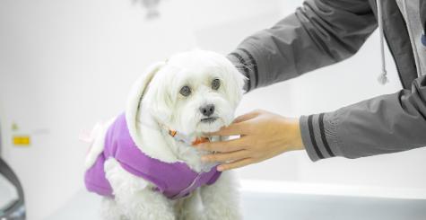 高考分一出来，有人喜笑颜开，有人一脸懵圈。特别是刚过专科线的男生，自己心里没底