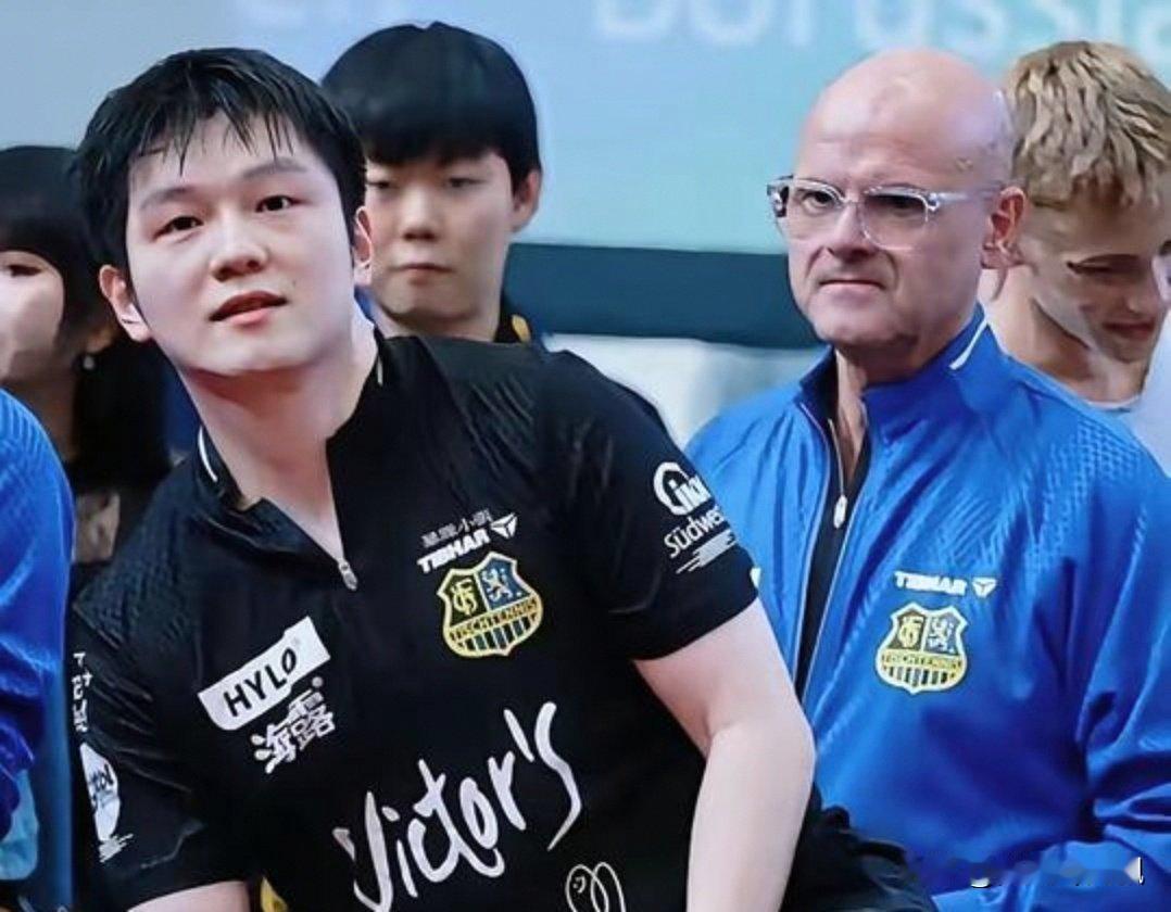 薛飞赢了，樊振东却输了。登陆德甲的薛飞和樊振东，在对阵多特蒙德