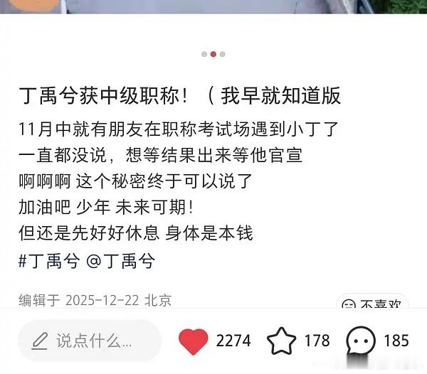 所以丁禹兮是95第一个、也是95唯一的国家三级演员？