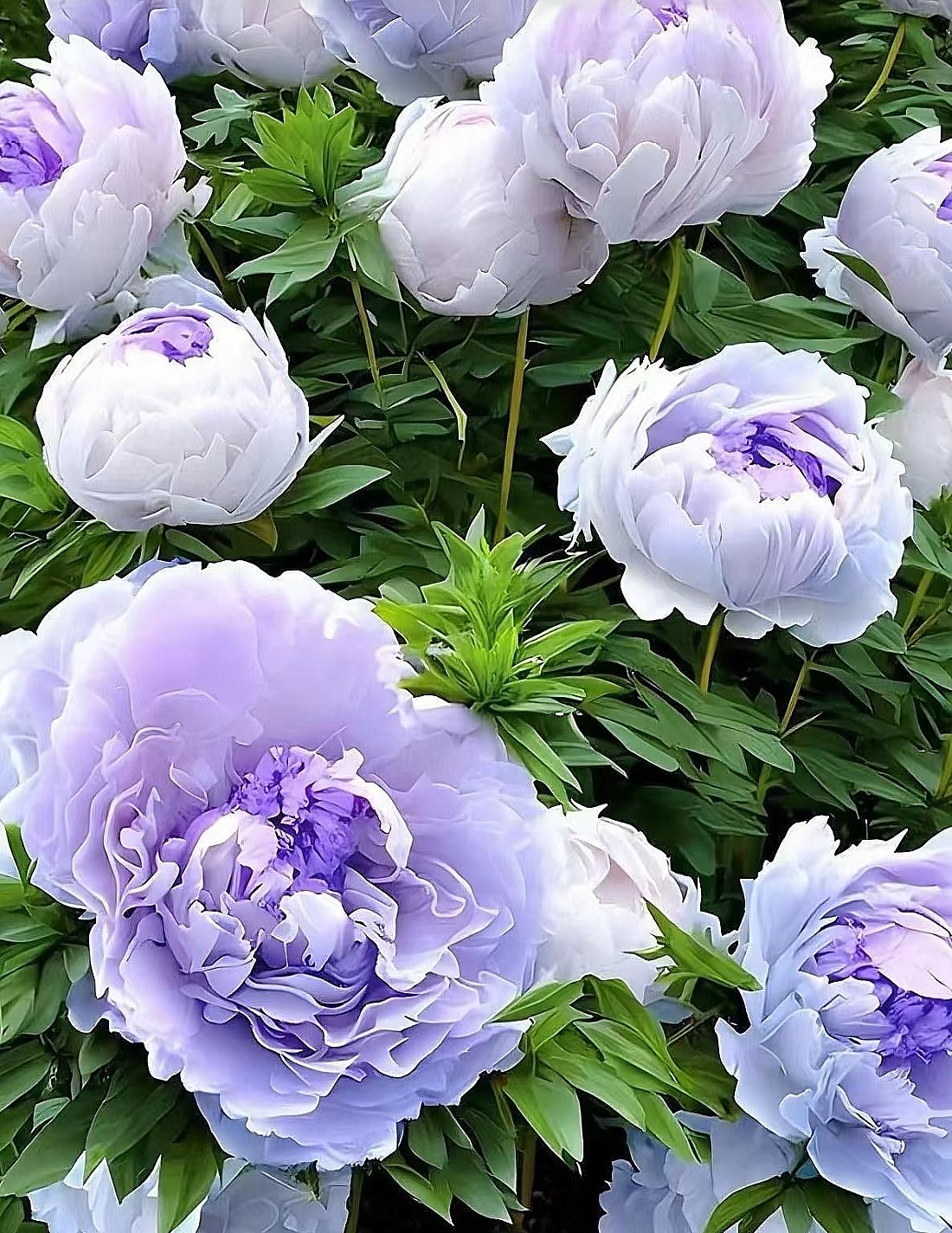 曾仕强老师常说：“人，不要去求财，你要修到让财来求你。”​​逆境，本就是大