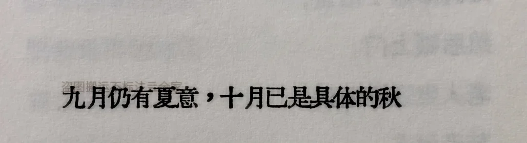 卧槽，我真的是太爱这个了