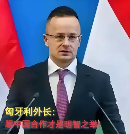 现在全欧洲最后悔的就是德国了吧！ 要论欧洲谁跟中国合作最实在，匈牙利称第二没