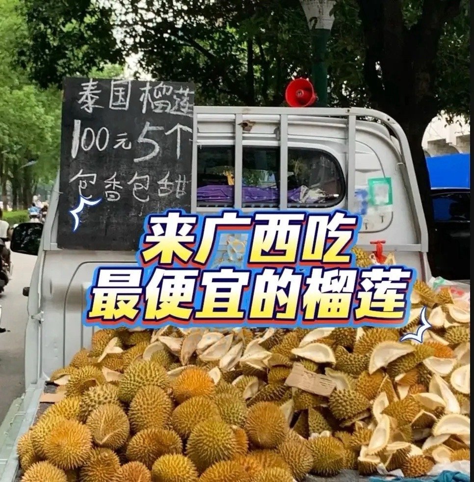 终于弄明白了，榴莲今年为什么便宜得跟坐滑梯一样，不是果农突然发善心了，是物流把整