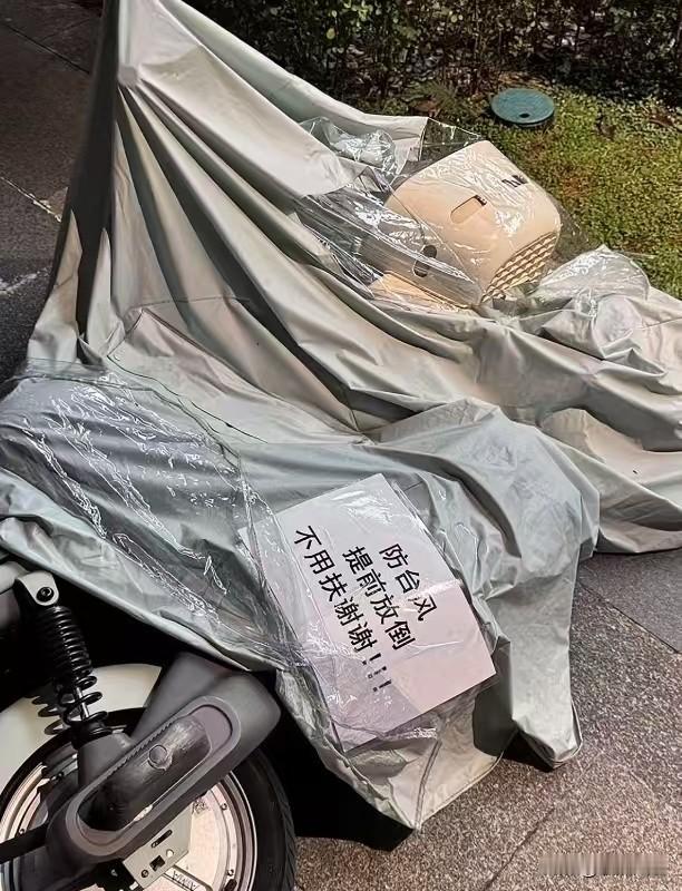 为了迎接年度最强风王“桦加沙”，大家可谓是严阵以待。“麦”克风也摆出来了[呲牙笑]