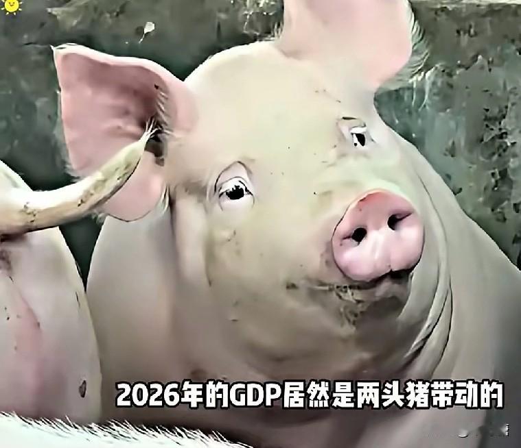 所有文旅都应该向重庆合川文旅学习，闻着味赶来，不图你消费，只把合川的人间烟火告诉