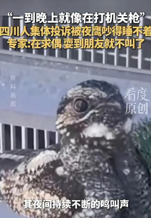 5月13日，看度新闻报道，深夜，四川多地响起“机关枪声”，居民集体崩溃：拜托了，