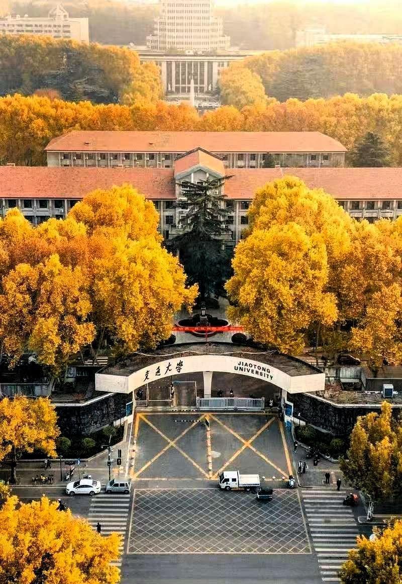 刚看到一个数字，直接给我干沉默了。西安交大，一万两千多名毕业生。你猜，出国深