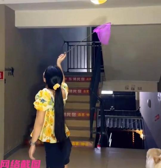四川南充有女子拿着捕虫的网兜，此时正对准一处墙上的夏蝉迅速扣下，随后将手里的网兜