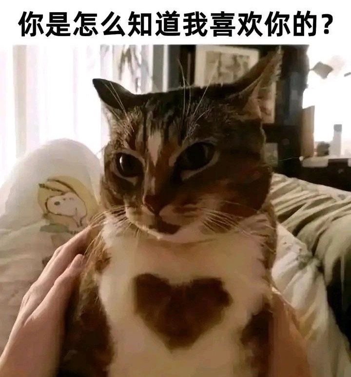 露馅了​​​