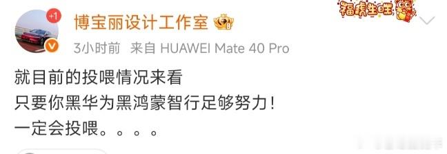 所以有些群体黑华为和鸿蒙智行来，真是卖力