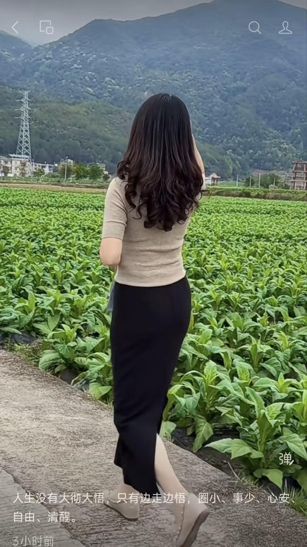 落梅风·糊涂乐休求大悟，且随方，边走边悟心自朗。圈小宁，事少爽，少言多