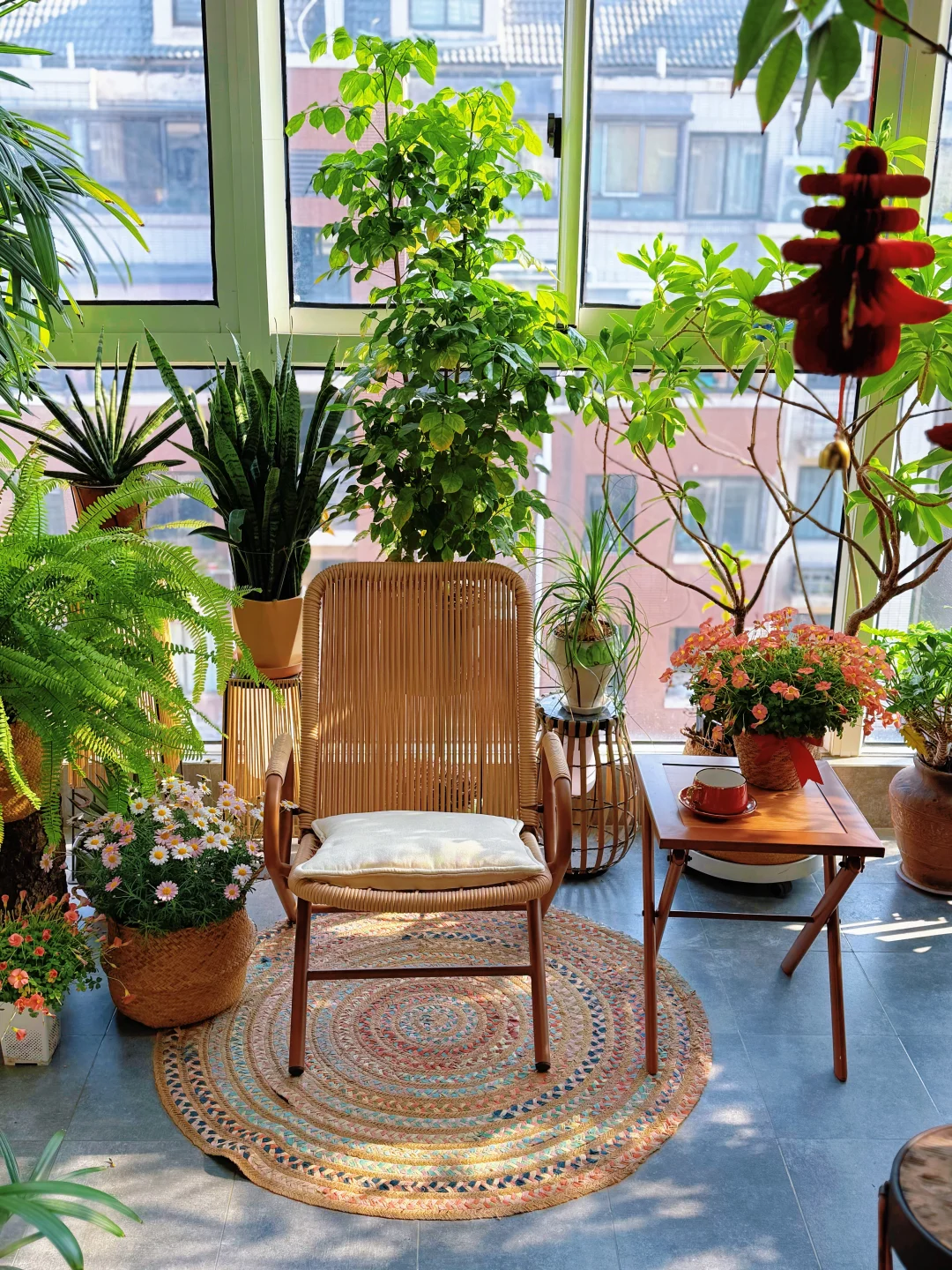 9平米｜分享阳台小森林布置和植物选择