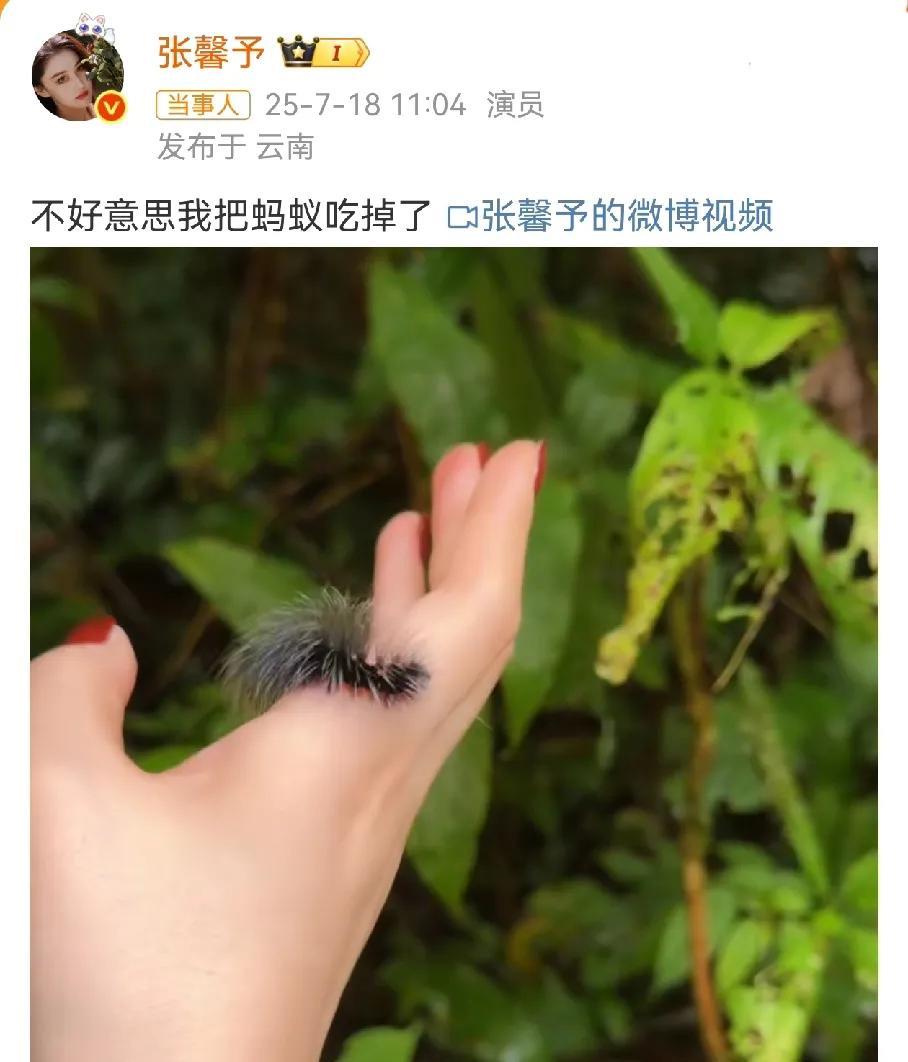 张馨予视频更恐怖啊，云南虫谷下季没她真的不看。把毛毛虫放在手上爬，抓起地上的蚂
