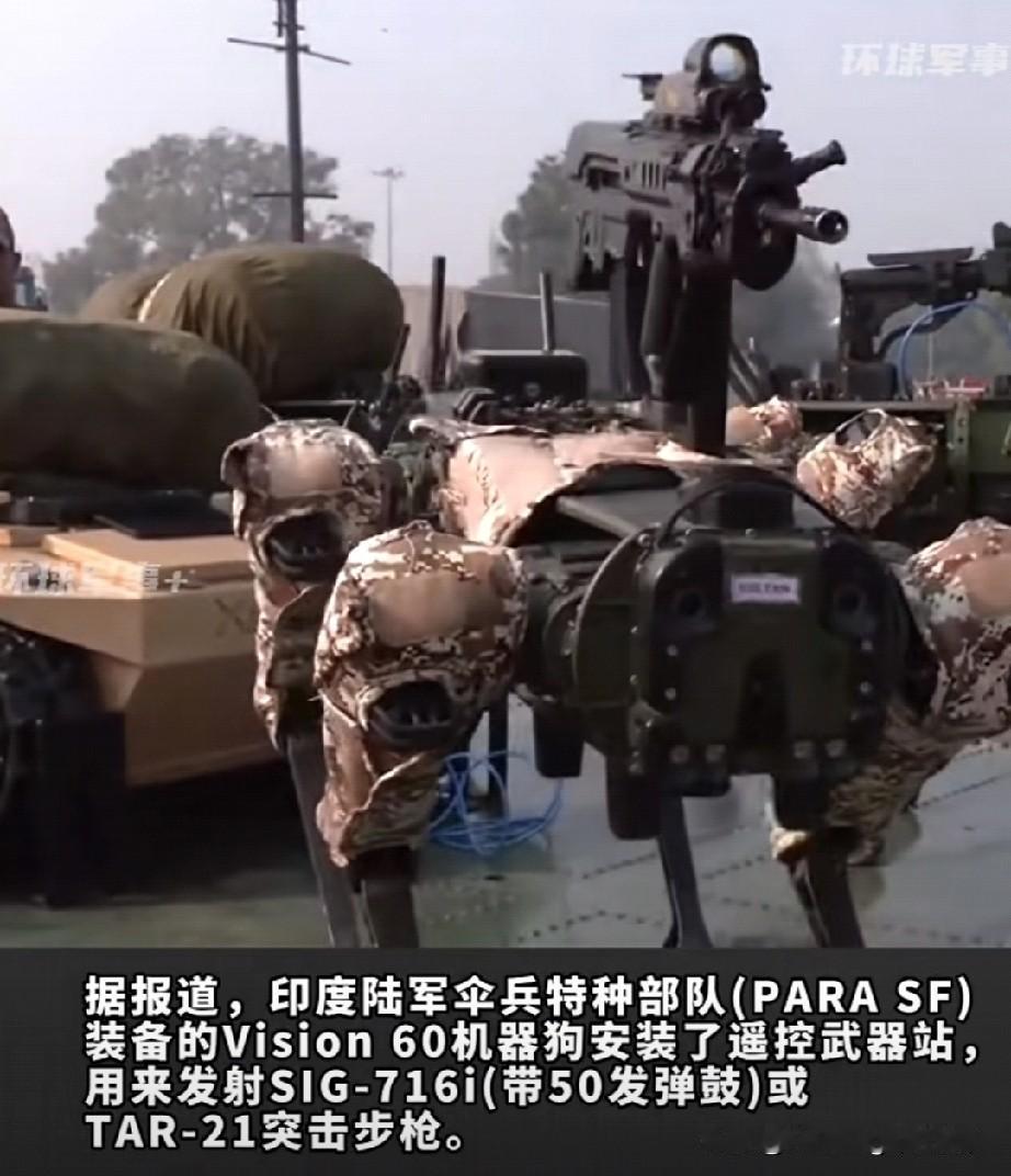 坏消息：印度机械狗也上枪了..好消息：没有扣扳机的设计组件...这把枪配瞄