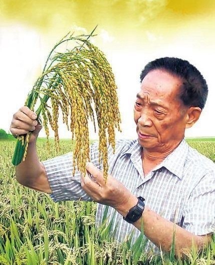 如果刷到，恳请你停留一秒钟，向他致敬！纪念袁隆平爷爷最好的方式，就是珍惜每一粒粮