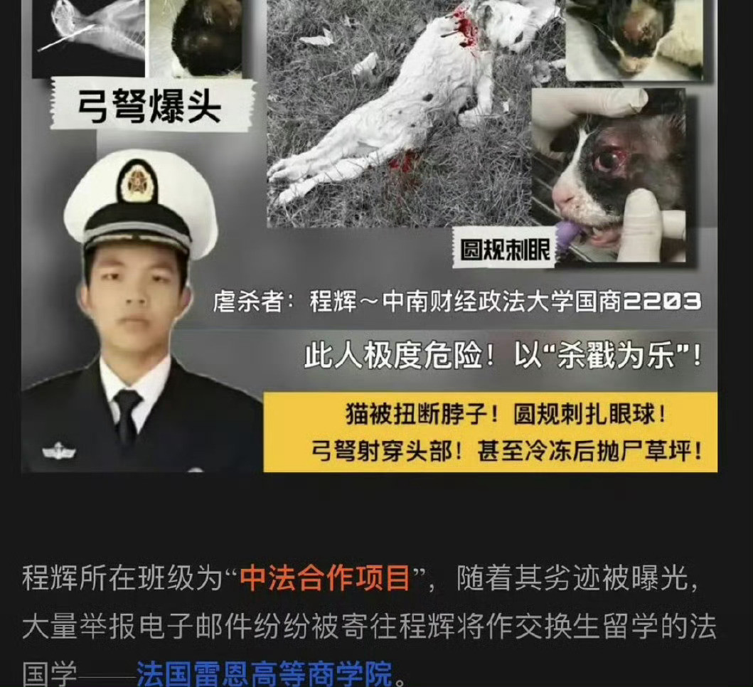 虐猫男留学被拒这种初生就没有打码的必要了吧认准虐猫男​​​