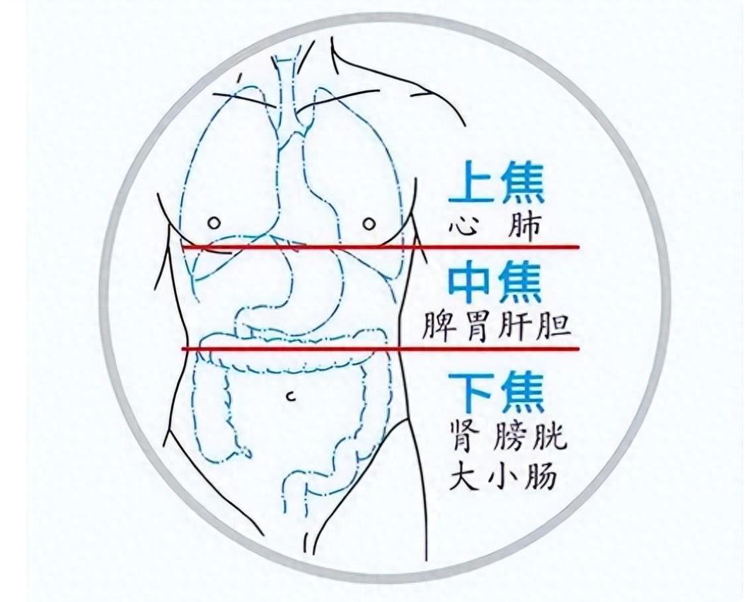 上热下寒不用慌！全是中焦堵死，一味药通积化瘀，打通三焦我是陈大夫，先放安全提醒
