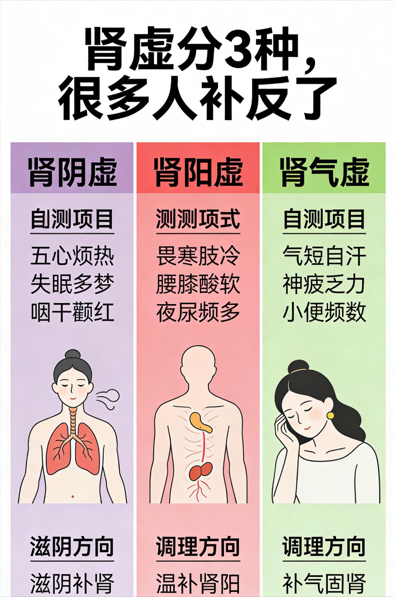 肾虚也分型，盲目进补反而伤身
