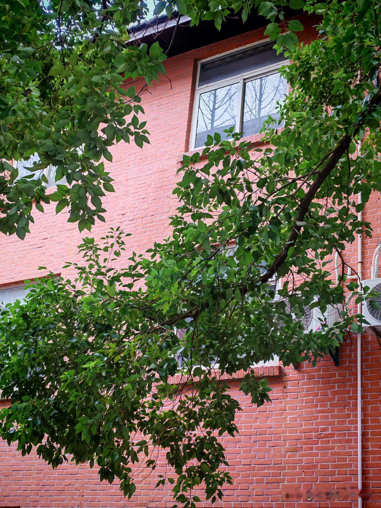 陈道明一句大实话，戳穿晚年最痛真相：人老了，拼的不是钱和孝顺小区里的张叔，