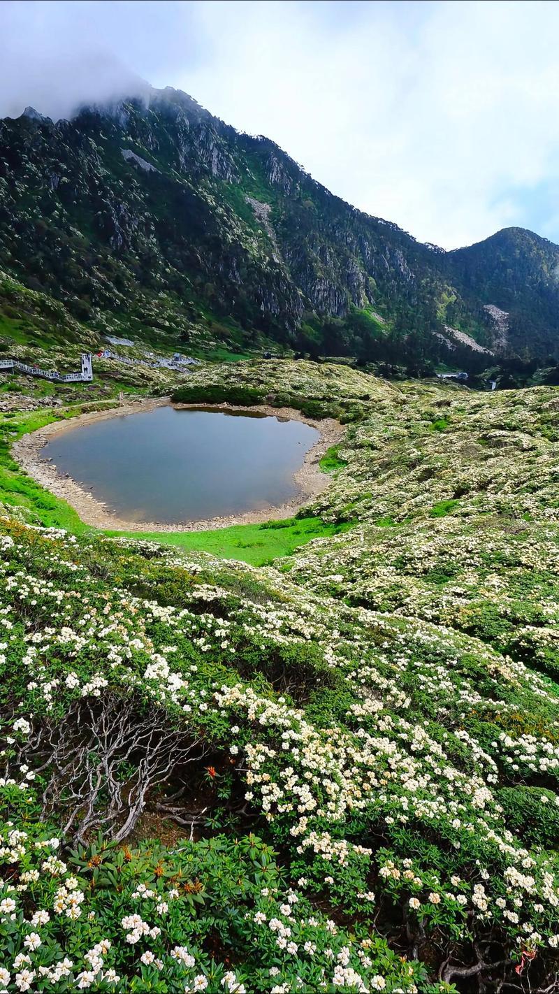 滇西一体化建设，大理真的迎来新契机了！[