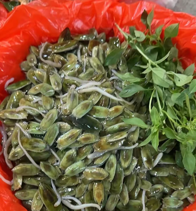 这是什么美食？问了很多人都没人知道。