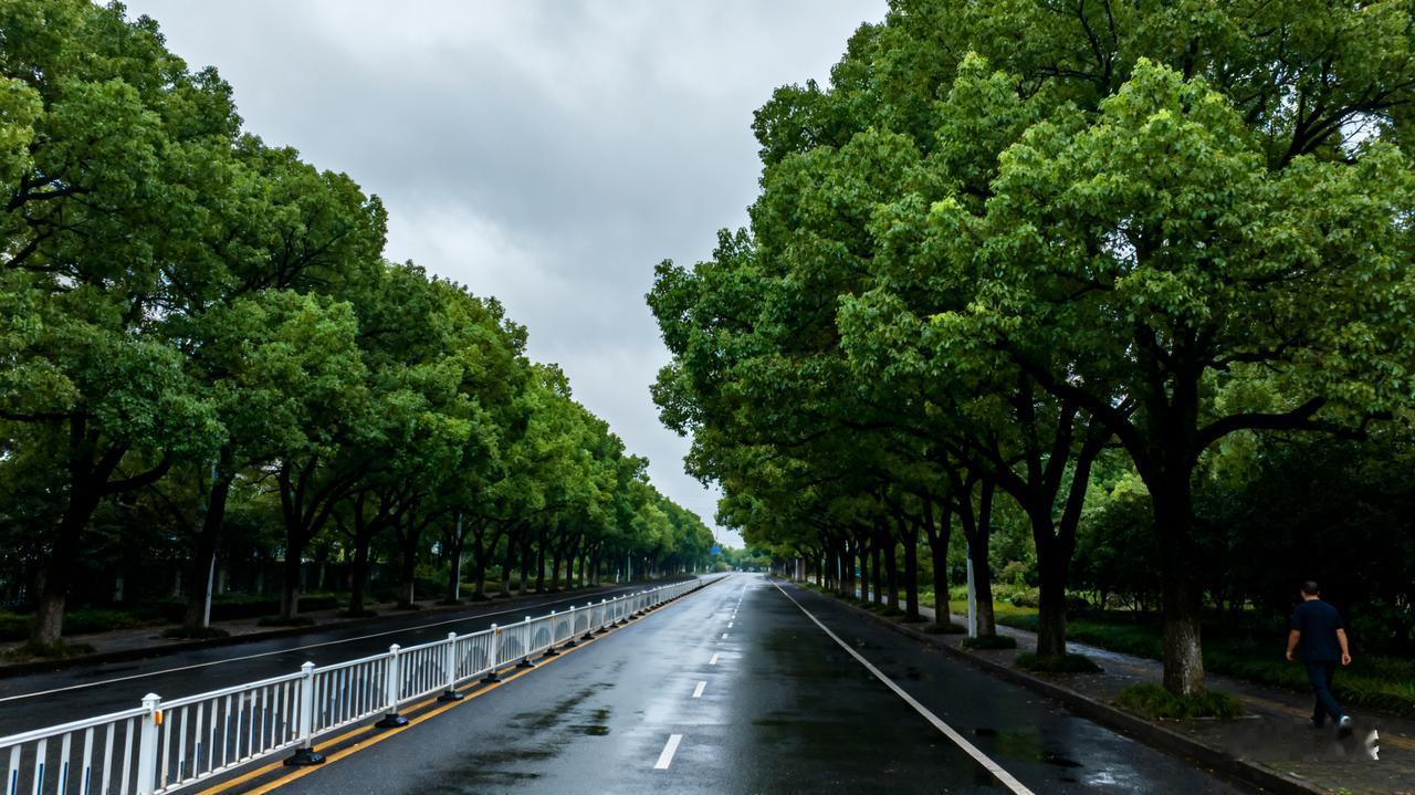 您有没有喜欢的一条路？在襄阳求学、上班，一晃生活三十多年了。古城襄阳分三个区