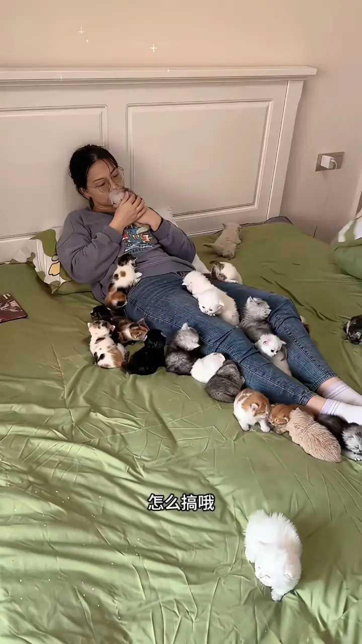 这顿宠物挺吓人啊