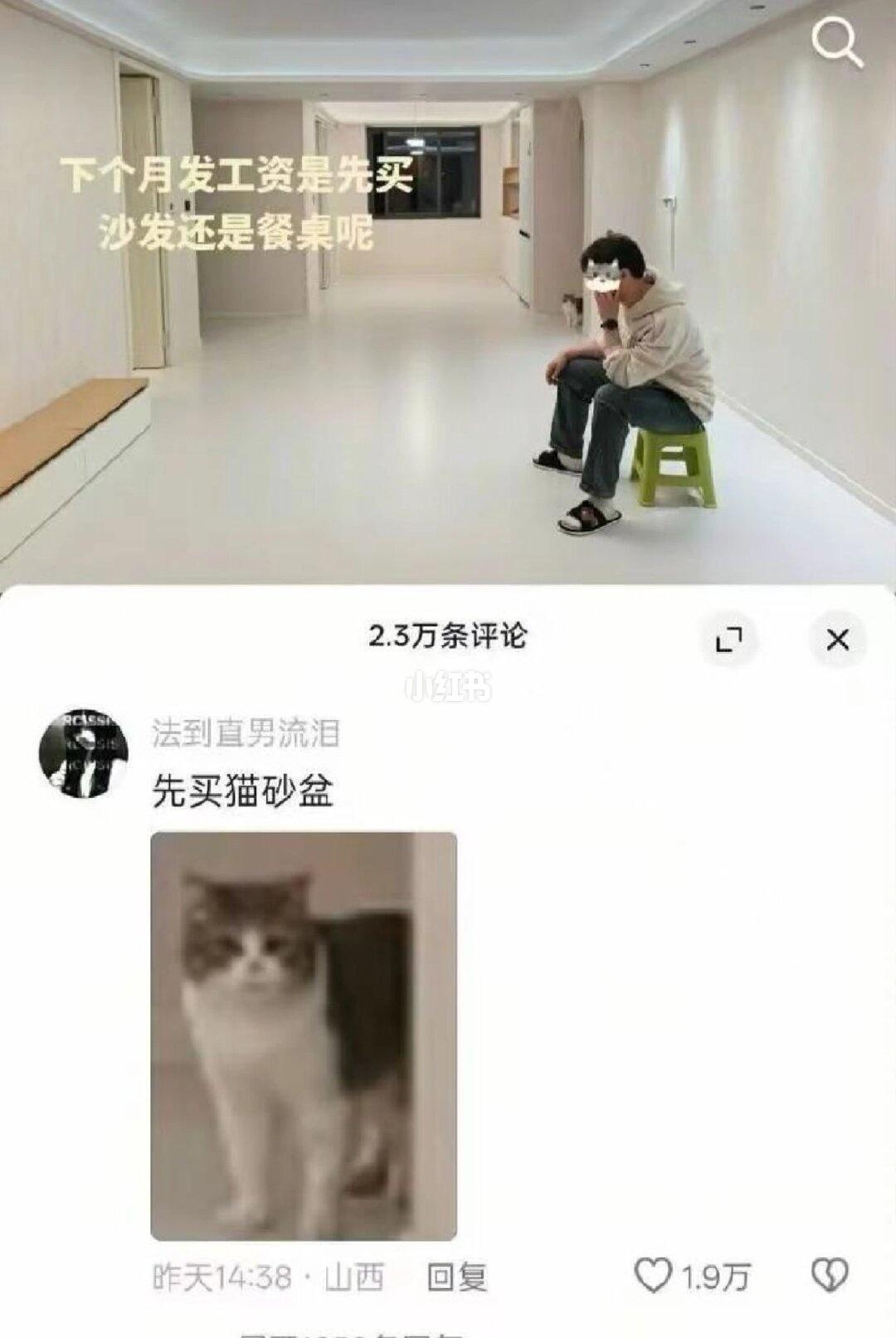 哈哈哈哈哈哈哈哈哈哈有点像模拟人生里带猫搬家之后猫头上的泡泡老是冒出猫砂盆
