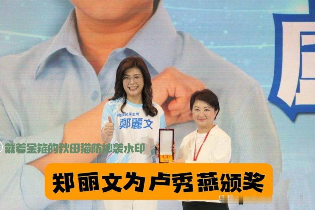 卢秀燕获一等奖章！郑丽文亲自颁奖给“妈妈市长”，俩人抱了又抱，尽显姐妹情深、蓝