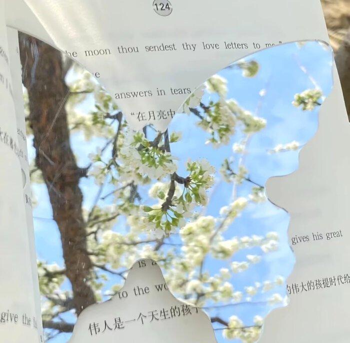 小清新背景图｜淡色系｜春和景明｜镜头下的春和景明🌿​​​