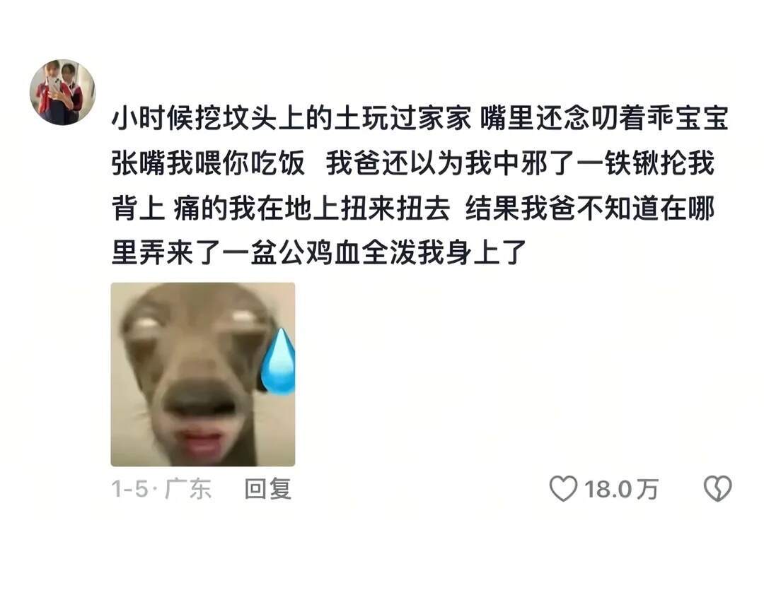 这个评论区我决定要春晚再拿出来看一遍…