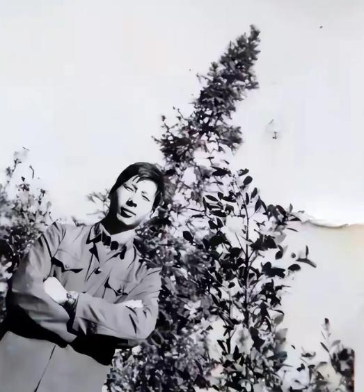 1979年，何源海不幸中弹“牺牲”，被追记一等功，谁知两年后，他却回到了村子，但