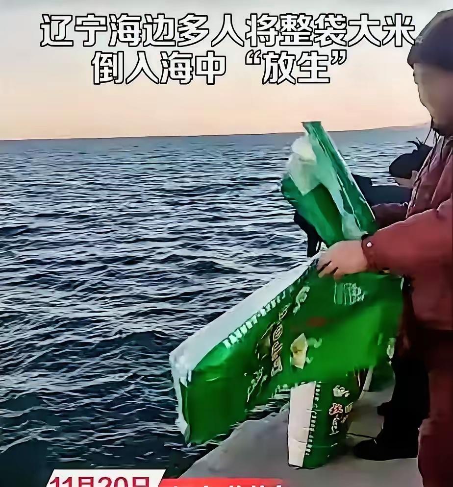 是积德行善还是糟蹋粮食？是虔诚放生还是愚昧无知？11月20日，辽宁葫芦岛海边