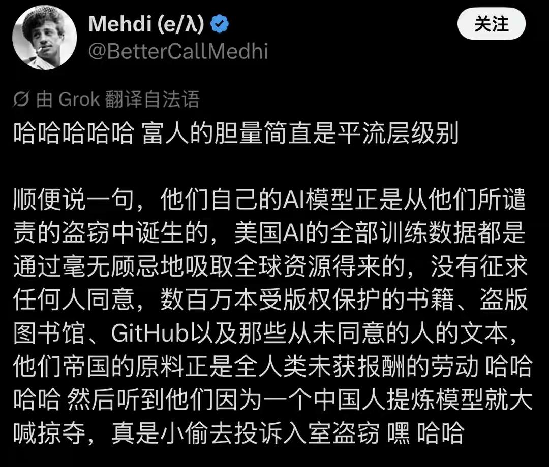  彻底戳穿双标！法国网友怒怼美国：AI吸干全网数据，转头指责别人偷窃一场A