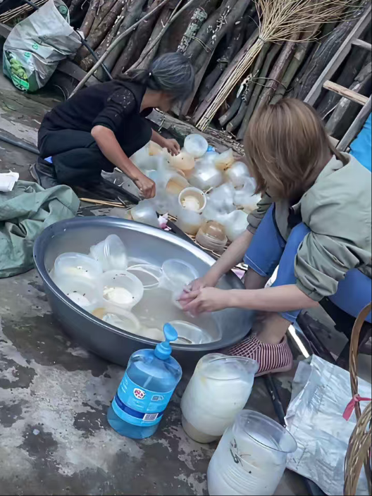母亲说可以卖钱，犟不过就来了