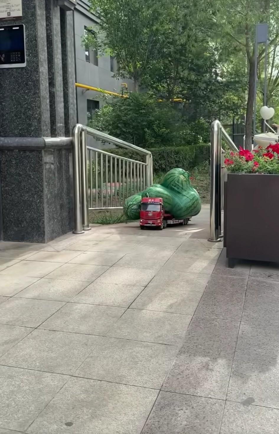 小区邻居又进货满满一货车🚚西瓜。怪不得大货车这么能拉，原来从小就练！这货车小时